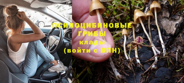 мяу мяу кристалл Иннополис
