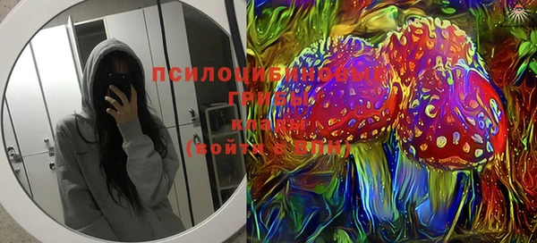 первитин Каменногорск